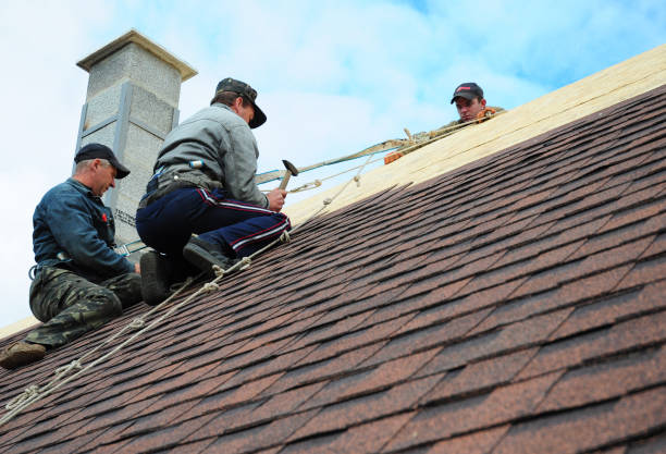 Roof Gutter Cleaning in Makaha, HI